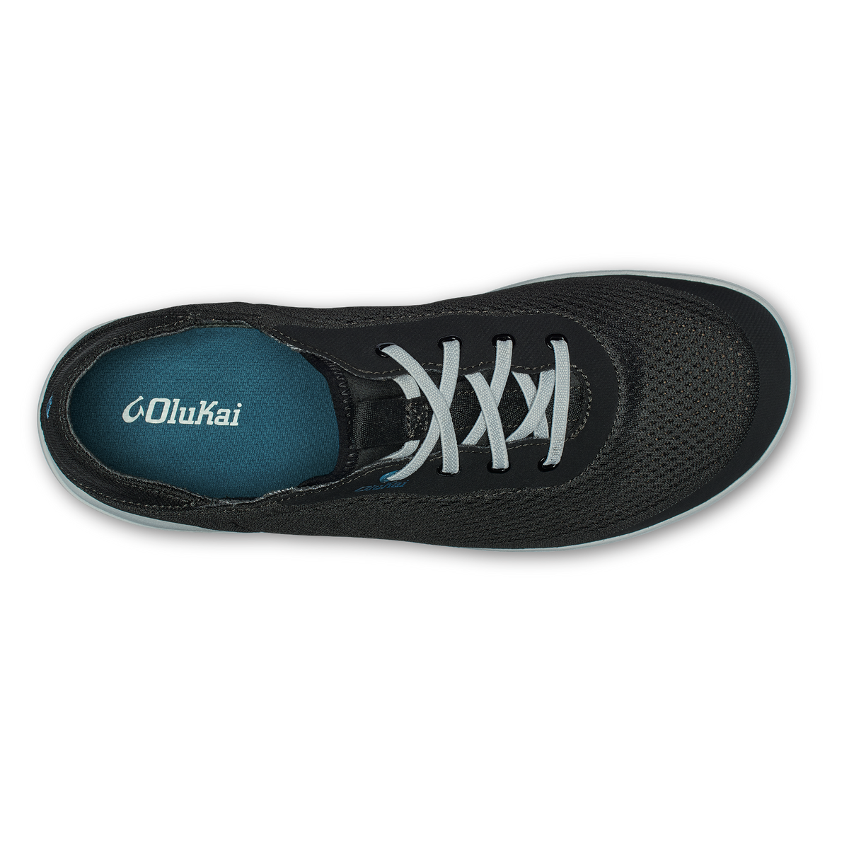 Black / Blue Coral