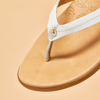 Bright White / Golden Sand